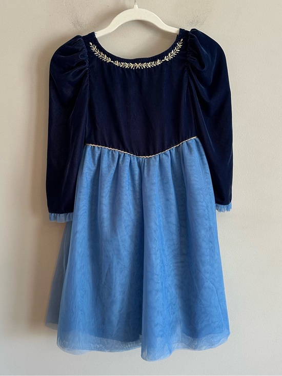 Janie and Jack Other - Disney Janie And Jack Girls Frozen Velvet Tulle Dress Anna Elsa Princess